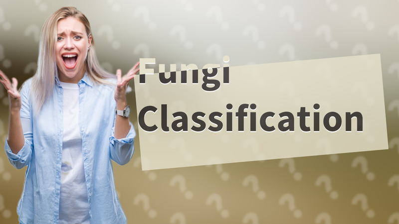 Fungi Classification