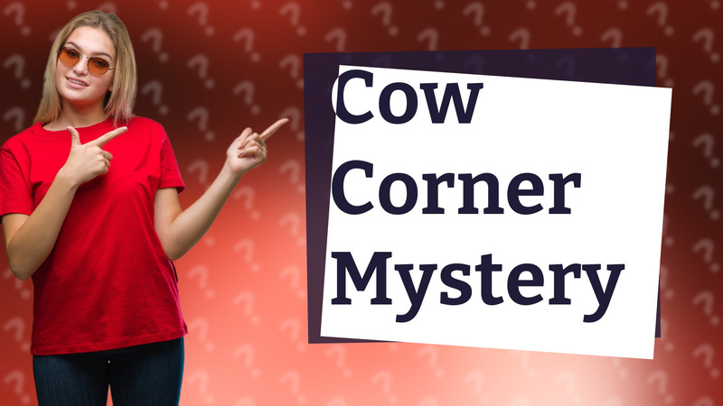 Cow Corner Mystery