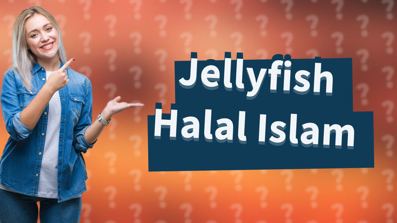 Jellyfish Halal Islam