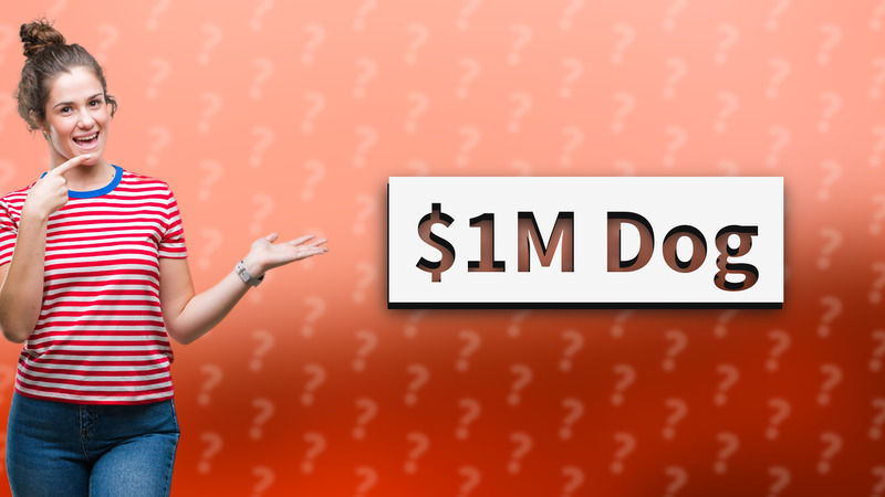 $1M Dog