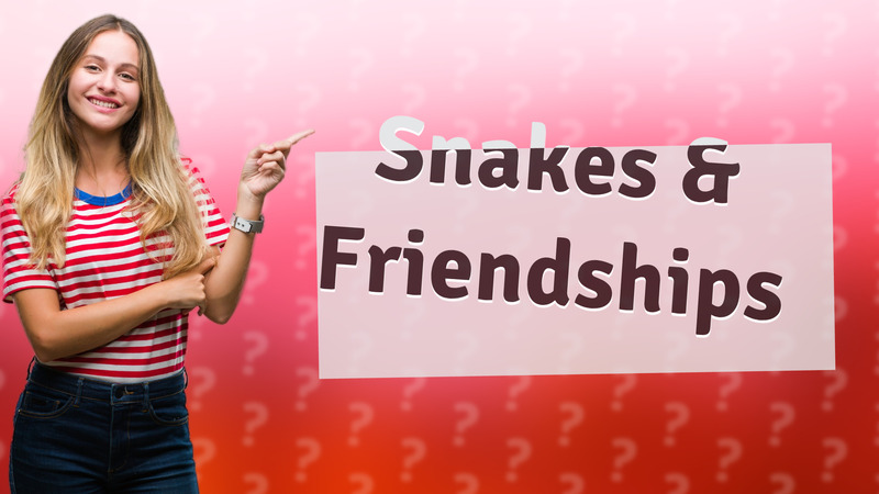 Snakes & Friendships
