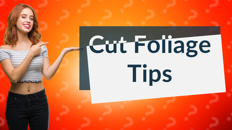Cut Foliage Tips