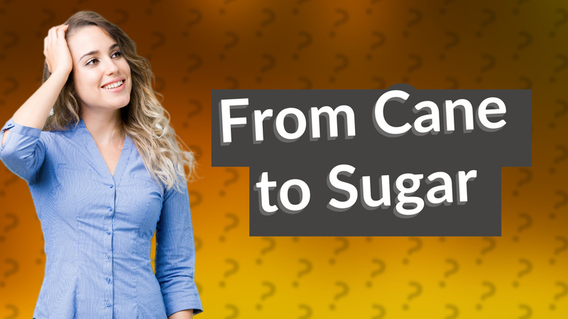 From Cane to Sugar