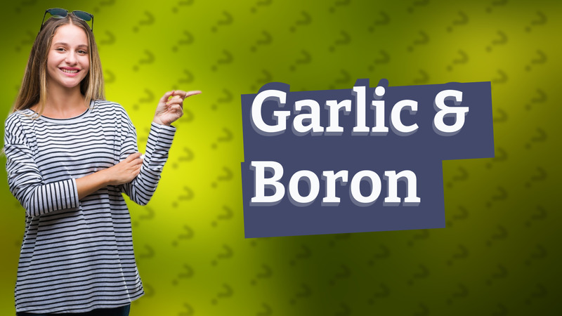 Garlic & Boron