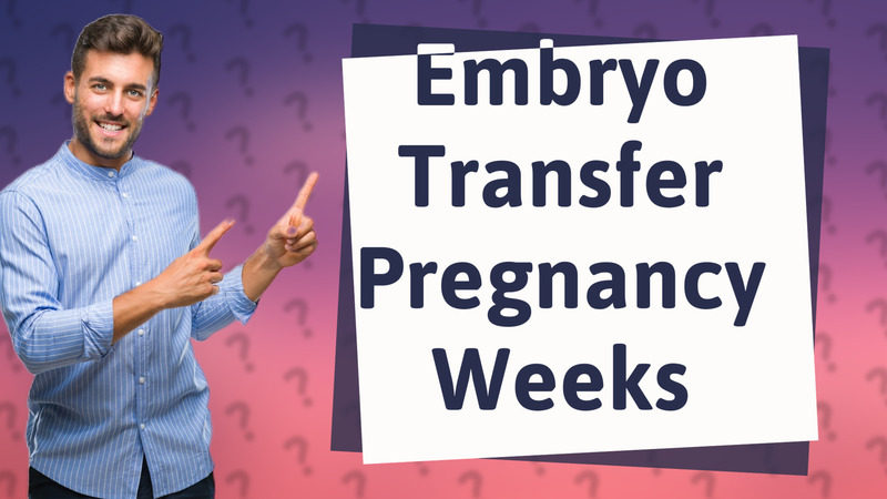 Embryo Transfer Pregnancy Weeks