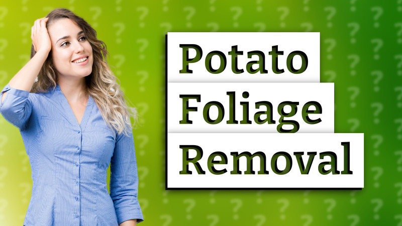 Potato Foliage Removal