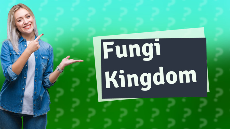 Fungi Kingdom