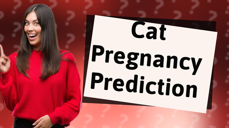 Cat Pregnancy Prediction