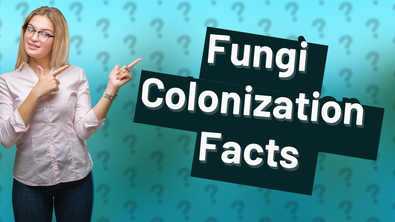 Fungi Colonization Facts