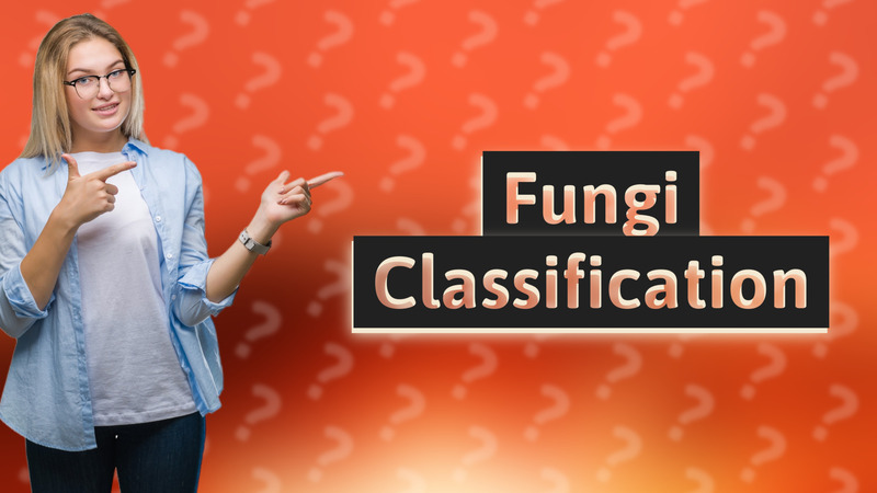 Fungi Classification