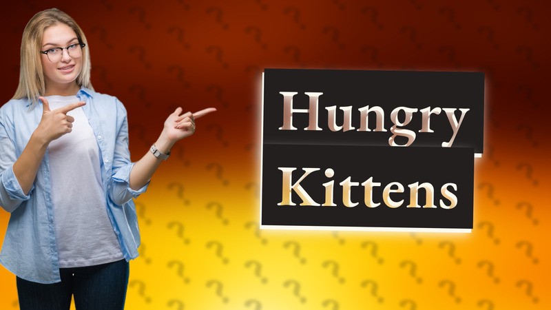 Hungry Kittens