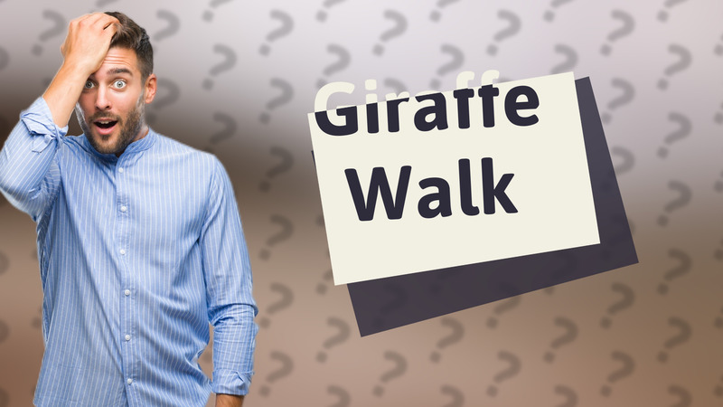Giraffe Walk