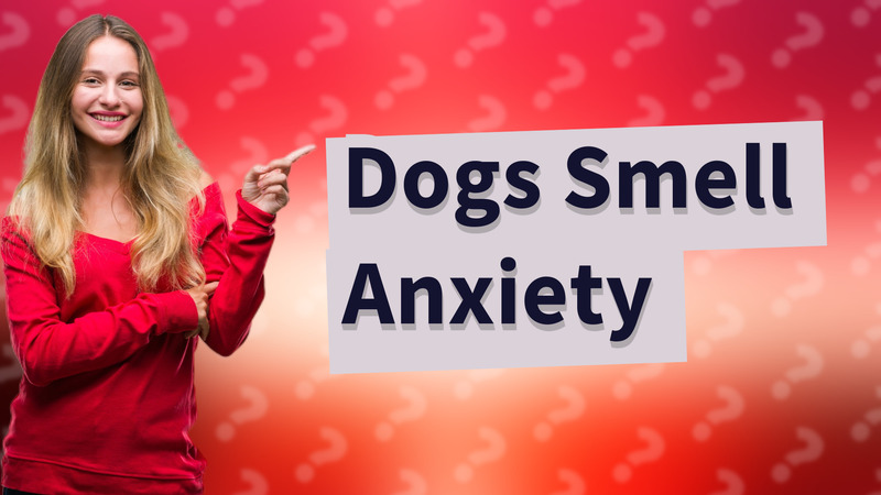Dogs Smell Anxiety