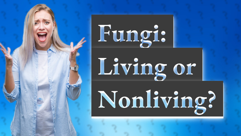 Fungi: Living or Nonliving?