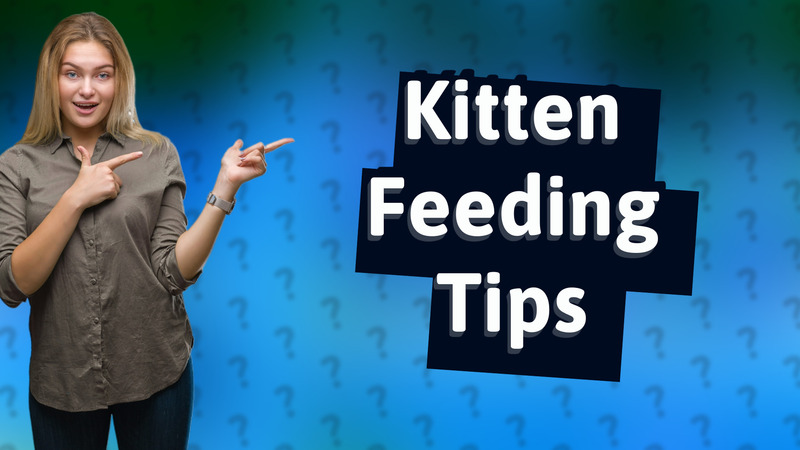 Kitten Feeding Tips