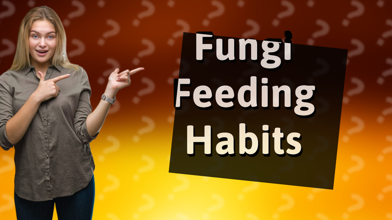 Fungi Feeding Habits