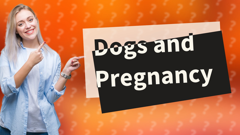 Dogs and Pregnancy