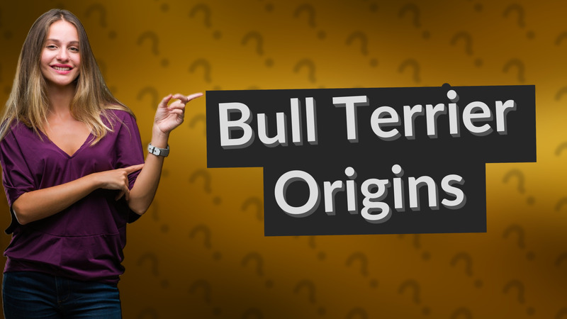 Bull Terrier Origins