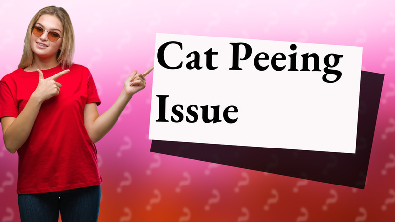 Cat Peeing Issue