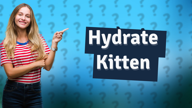 Hydrate Kitten
