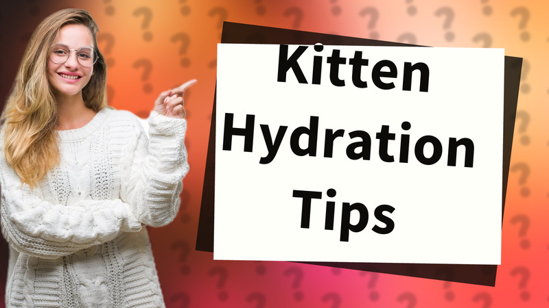 Kitten Hydration Tips