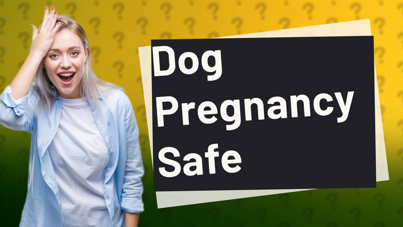 Dog Pregnancy Safe
