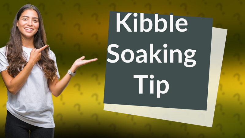 Kibble Soaking Tip