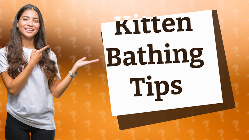 Kitten Bathing Tips