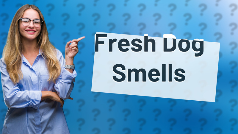 Fresh Dog Smells