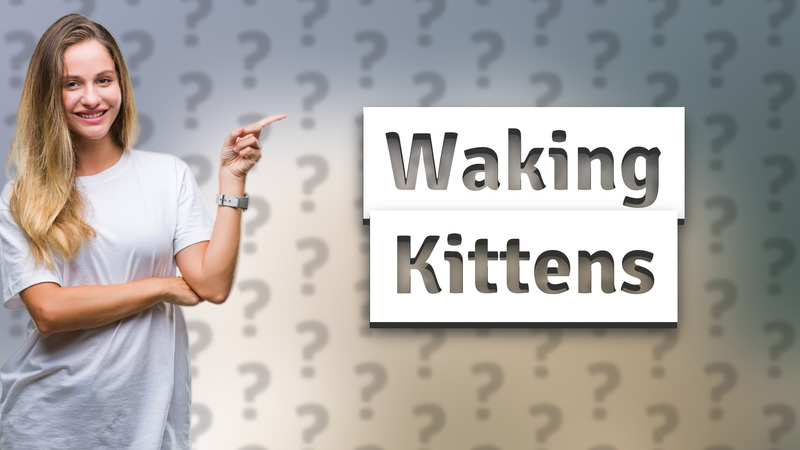 Waking Kittens