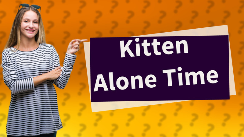 Kitten Alone Time