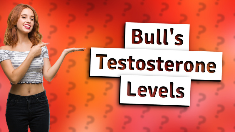 Bull's Testosterone Levels