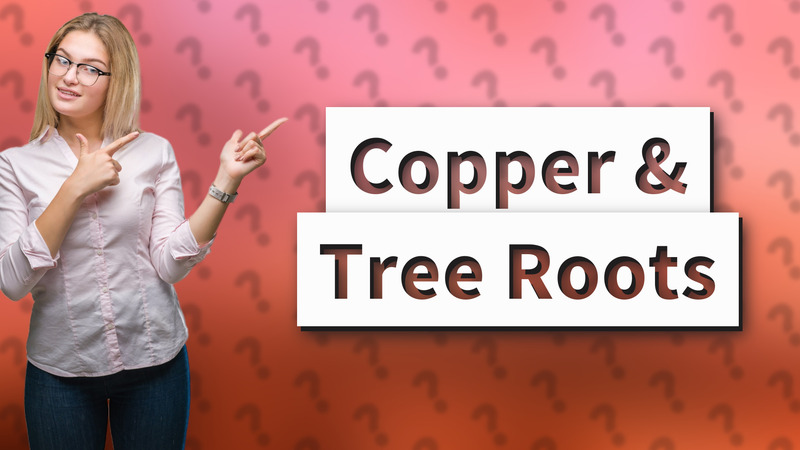 Copper & Tree Roots