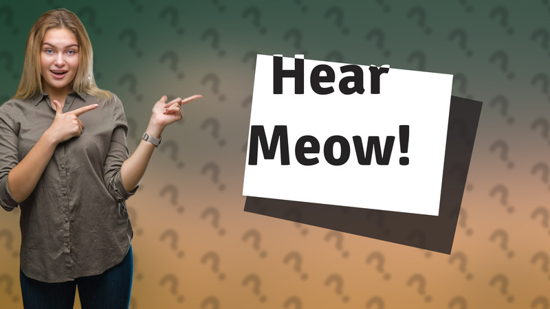 Hear Meow!