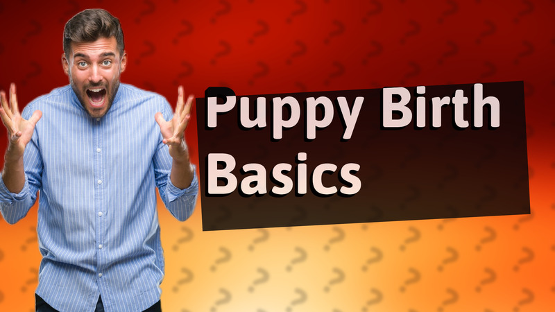 Puppy Birth Basics