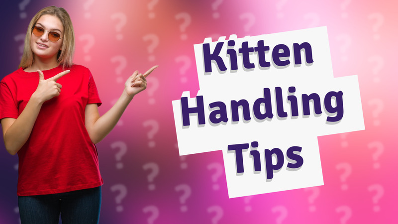 Kitten Handling Tips