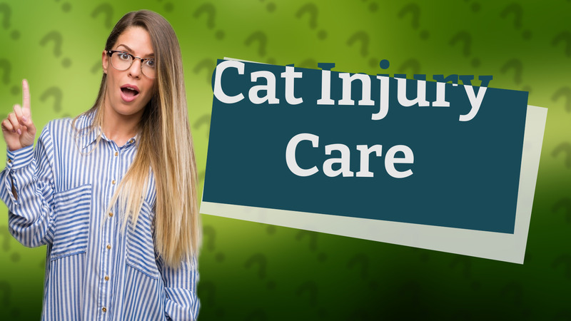 Cat Injury Care