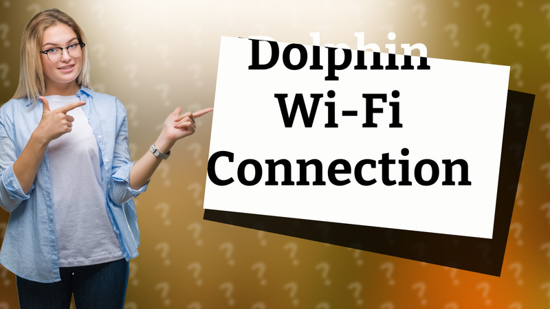 Dolphin Wi-Fi Connection