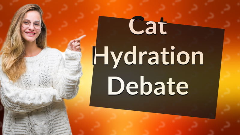 Cat Hydration Debate