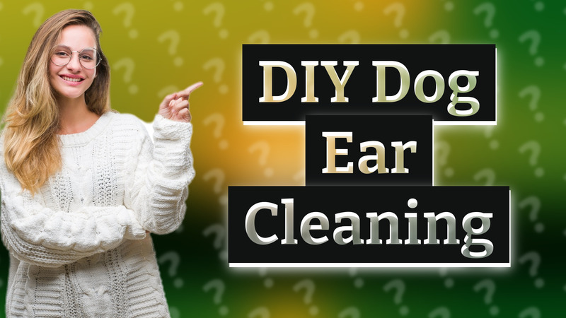 DIY Dog Ear Cleaning