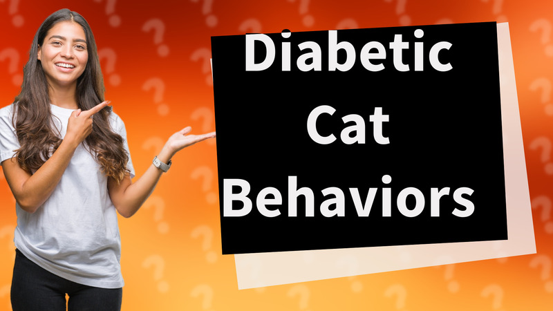 Diabetic Cat Behaviors