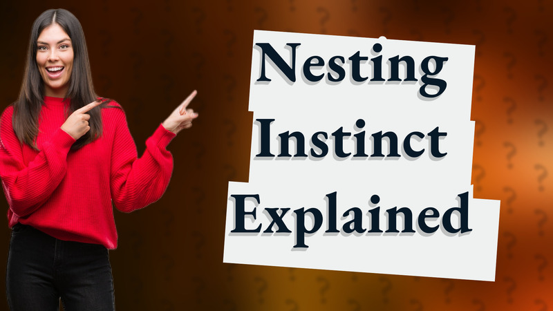 Nesting Instinct Explained