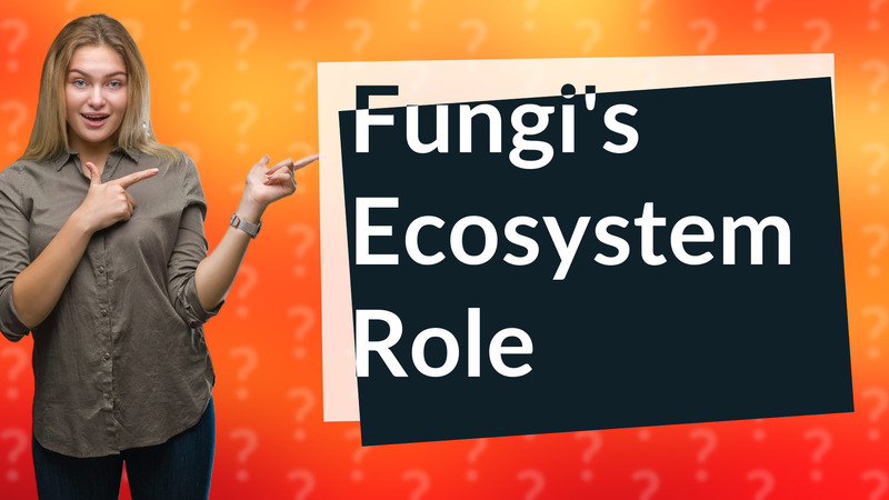Fungi's Ecosystem Role