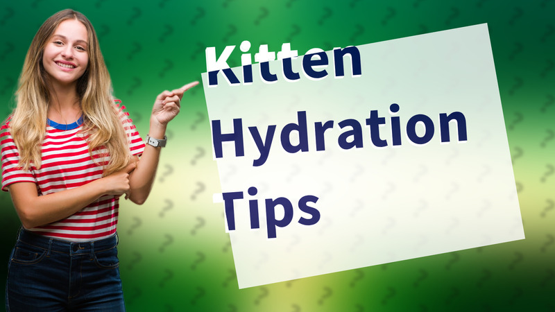 Kitten Hydration Tips
