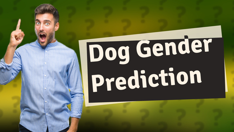 Dog Gender Prediction