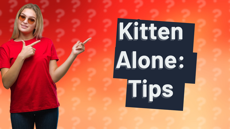 Kitten Alone: Tips