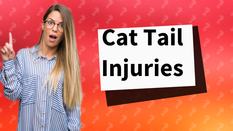 Cat Tail Injuries