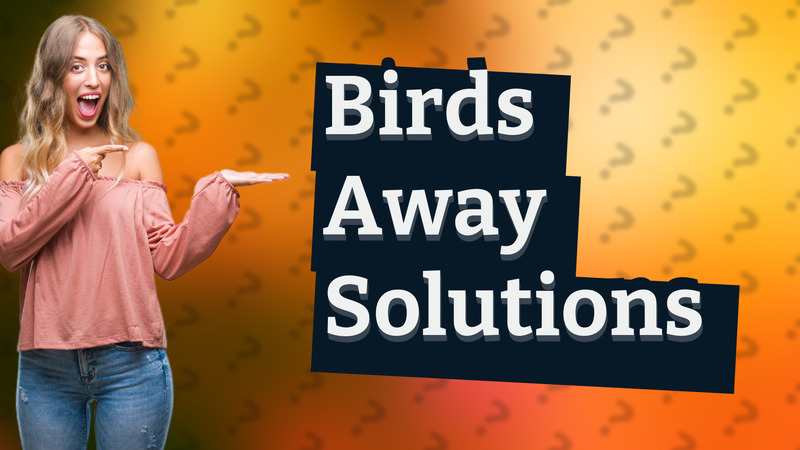 Birds Away Solutions