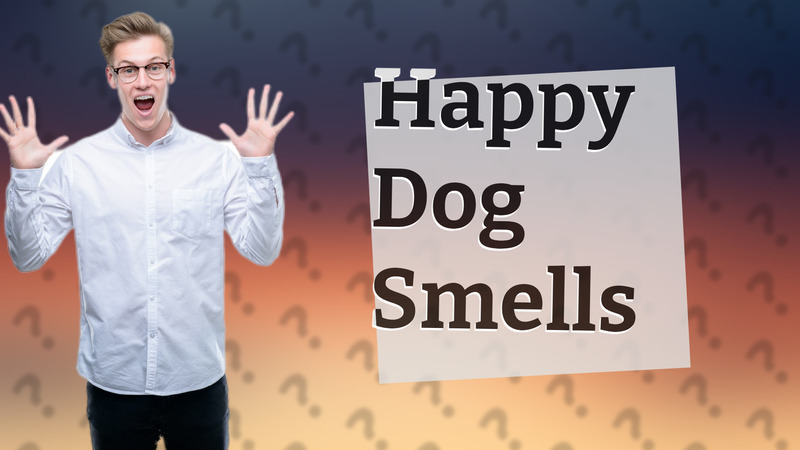 Happy Dog Smells