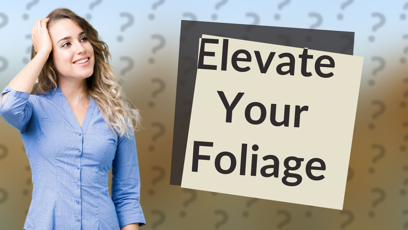Elevate Your Foliage